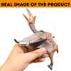 FUNFOB Dinosaur Toy Figure Width -20cm Quetzalcoatlus Toy fo...