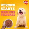 61HeWn9qiBL._SL1000_.jpg Pedigree Puppy Wet Dog Food, Chicken and Liver Chunks Flavou...