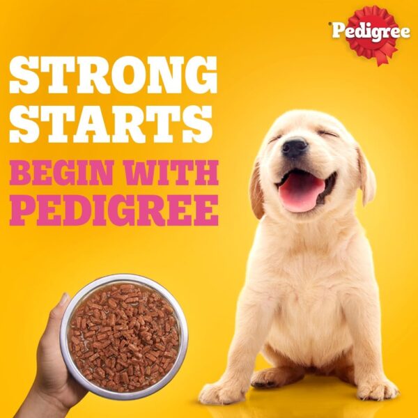 61HeWn9qiBL._SL1000_.jpg Pedigree Puppy Wet Dog Food, Chicken and Liver Chunks Flavou...