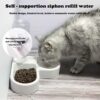 Pet Double Bowl Feeder with Automatic Water Bottle - Multifu...
