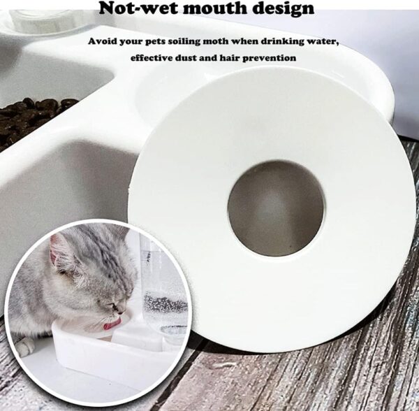 Pet Double Bowl Feeder with Automatic Water Bottle - Multifu...
