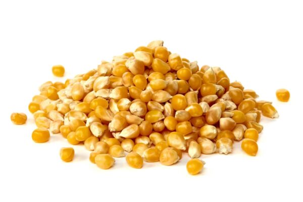Maize (Dry Corn Seeds) for Birds 1 Kg Food for Garden Animal...