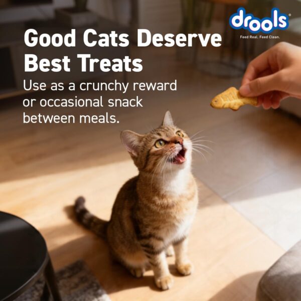 61SOuG4s9uL._SL1200_.jpg Drools Adult Cat Treat Biscuits 400g Jar | Real Chicken Flav...