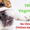 61XHJ1OYLQL._SL1000_.jpg Vegetarian Dog Feed Supplement (Pack of 1- 250 gm)