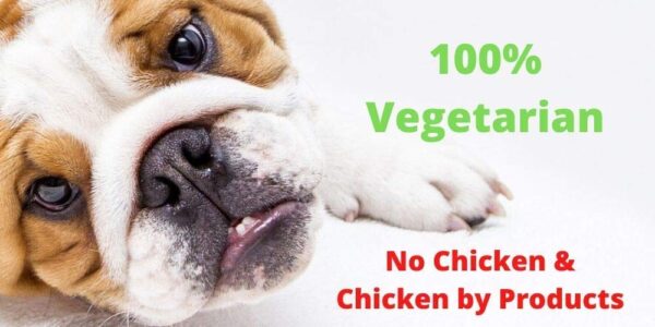 61XHJ1OYLQL._SL1000_.jpg Vegetarian Dog Feed Supplement (Pack of 1- 250 gm)