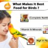 BOLTZ Food for Big Parrot, African Grey, Sun Conure, Macaw, ...
