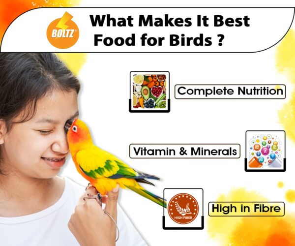BOLTZ Food for Big Parrot, African Grey, Sun Conure, Macaw, ...