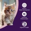 Purrfeto Kitten Dry Cat Food | Chicken & Ocean Fish | 1.2 kg...