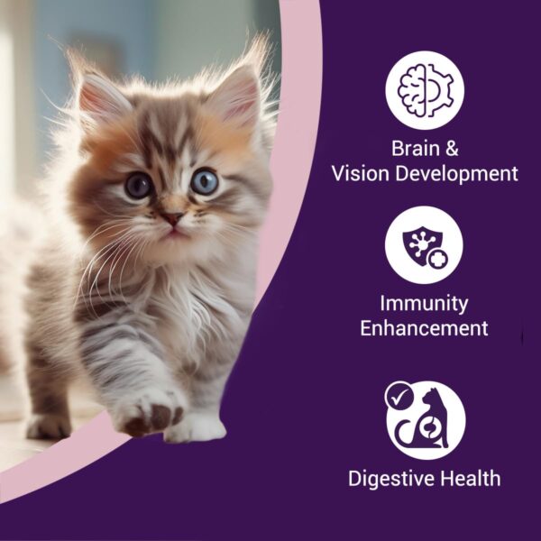 Purrfeto Kitten Dry Cat Food | Chicken & Ocean Fish | 1.2 kg...