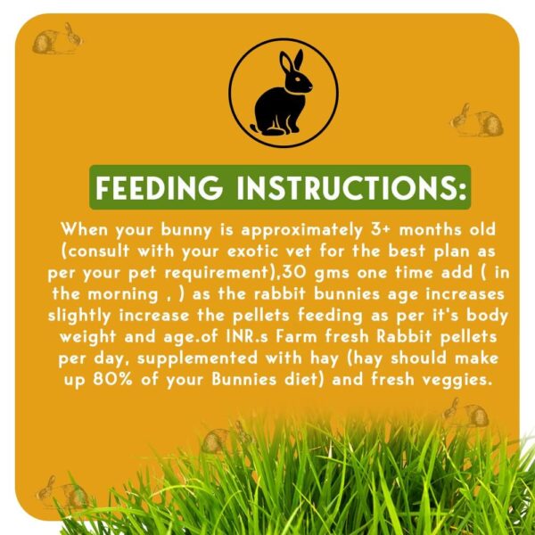 INR's Farm Fresh Premium Pellets Food for Rabbits (5 Kg)| Ad...
