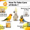 BOLTZ Food for Big Parrot, African Grey, Sun Conure, Macaw, ...