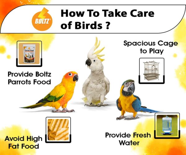 BOLTZ Food for Big Parrot, African Grey, Sun Conure, Macaw, ...