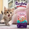 Purrfeto Kitten Dry Cat Food | Chicken & Ocean Fish | 1.2 kg...