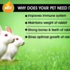Boltz Premium Adult Pellet Rabbit Food, Nutritionist Choice ...