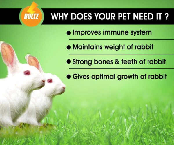Boltz Premium Adult Pellet Rabbit Food, Nutritionist Choice ...