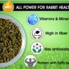 Boltz Premium Adult Pellet Rabbit Food, Nutritionist Choice ...