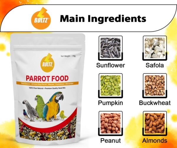 BOLTZ Food for Big Parrot, African Grey, Sun Conure, Macaw, ...