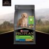 PURINA PRO Plan Puppy Food for Large Sized dogs-1kg