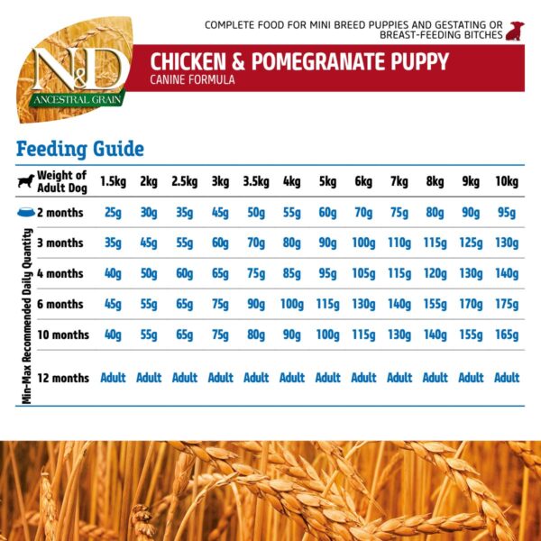 716WUpL-2XL._SL1200_.jpg Farmina N&D Pumpkin Adult Mini Dog Food | Chicken, Pomegrana...