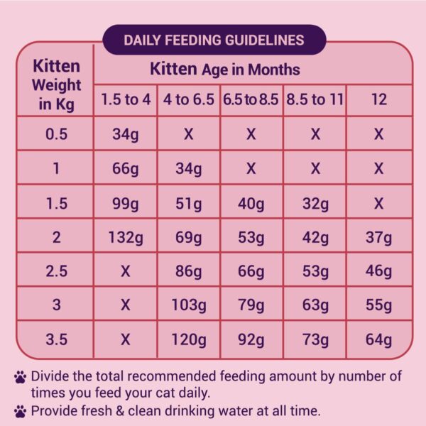 Purrfeto Kitten Dry Cat Food | Chicken & Ocean Fish | 1.2 kg...