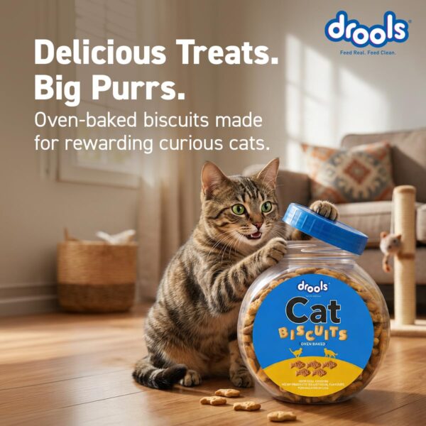 71AMx-7r0OL._SL1200_.jpg Drools Adult Cat Treat Biscuits 400g Jar | Real Chicken Flav...