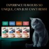 Sheba Rich Premium Adult (1+ Years) Wet Cat Food, Skipjack &...