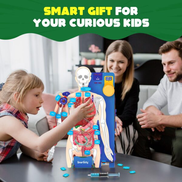 71DlCPgg8rL._SL1500_.jpg Smartivity Interactive Human Body Model for Kids 8-14 Years ...