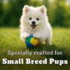 71LbTGZxFFL._SL1200_.jpg Pedigree PRO Puppy Small Breed, 3 kg Dry Dog Food, Vet Trust...
