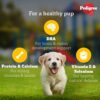 71NvJ2bOW9L._SL1500_.jpg Pedigree Puppy Wet Dog Food, Chicken and Liver Chunks Flavou...