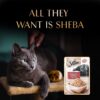 Sheba Rich Premium Adult (1+ Years) Wet Cat Food, Skipjack &...