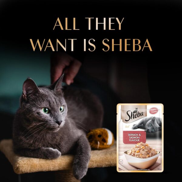 Sheba Rich Premium Adult (1+ Years) Wet Cat Food, Skipjack &...