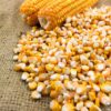 Maize (Dry Corn Seeds) for Birds 1 Kg Food for Garden Animal...