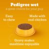 71QHZIU28JL._SL1500_.jpg Pedigree Puppy Wet Dog Food, Chicken and Liver Chunks Flavou...