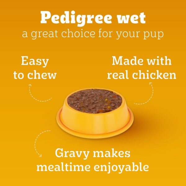 71QHZIU28JL._SL1500_.jpg Pedigree Puppy Wet Dog Food, Chicken and Liver Chunks Flavou...