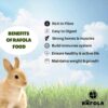 71QJJf5nUnL._SL1500_.jpg Premium Rabbit Food-High Fiber Blend With Alfalfa, & Nutriti...