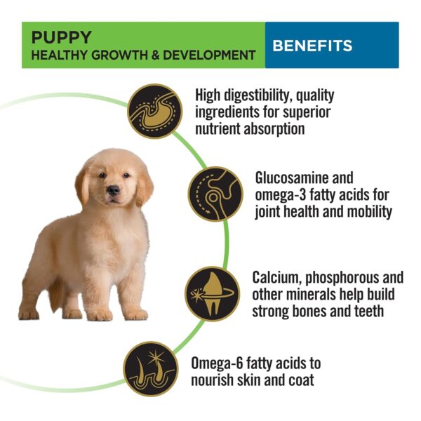 PURINA PRO Plan Puppy Food for Large Sized dogs-1kg