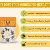 71U1WhMrihL._SL1500_.jpg Foodie Puppies Premium Guinea Pig Food Pellets | Highly Nutr...