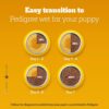 71U6DEW8DdL._SL1500_.jpg Pedigree Puppy Wet Dog Food, Chicken and Liver Chunks Flavou...