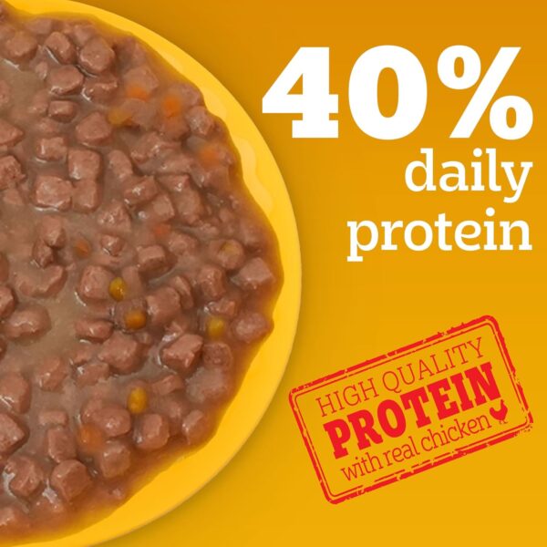 71XZzoDC42L._SL1500_.jpg Pedigree Puppy Wet Dog Food, Chicken and Liver Chunks Flavou...