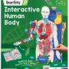 71dsutc5VyL._SL1473_.jpg Smartivity Interactive Human Body Model for Kids 8-14 Years ...