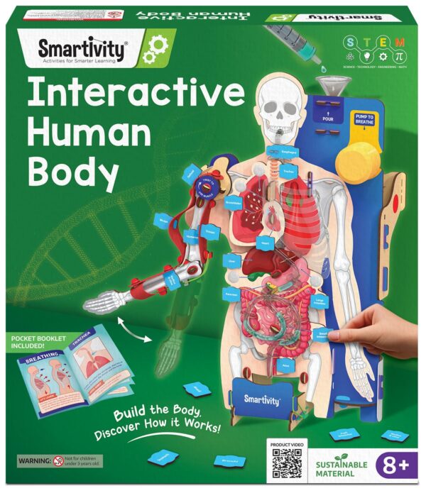 71dsutc5VyL._SL1473_.jpg Smartivity Interactive Human Body Model for Kids 8-14 Years ...