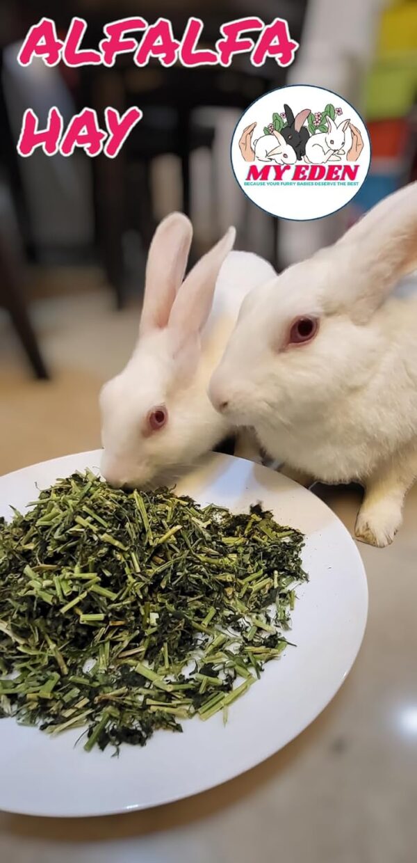 My Eden Natural Alfalfa Hay | Food for Rabbits, Guinea Pig, ...