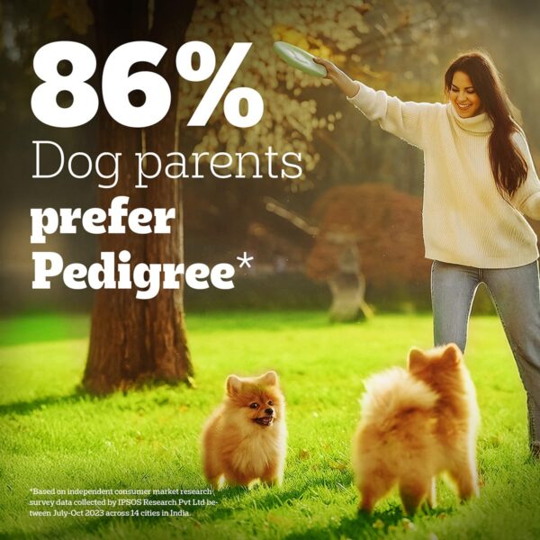 71gHoEtLJmL._SL1200_.jpg Pedigree PRO Puppy Small Breed, 3 kg Dry Dog Food, Vet Trust...