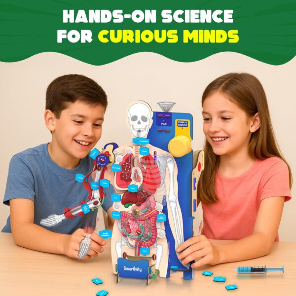 71gRhKQe2L._SL1500_.jpg Smartivity Interactive Human Body Model for Kids 8-14 Years ...