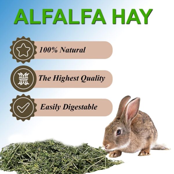 71nxqyJ5JAL._SL1500_.jpg Jainsons Pet Products Small Pet Alfalfa Hay 400g | High-Fibe...