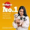 71riHBgR7ZL._SL1500_.jpg Pedigree Puppy Wet Dog Food, Chicken and Liver Chunks Flavou...