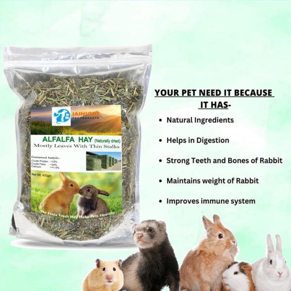 71s3xrQwMQL._SL1500_.jpg Jainsons Pet Products Small Pet Alfalfa Hay 400g | High-Fibe...