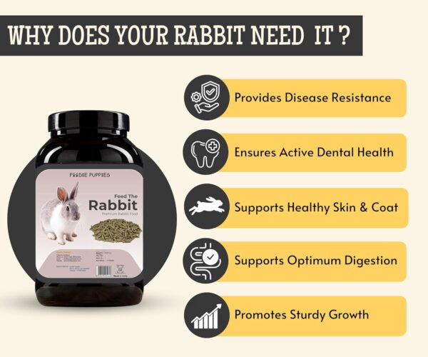 71ttdVSYtbL._SL1500_.jpg Foodie Puppies Rabbit Food Dry Pellets 1Kg, Highly Premium N...