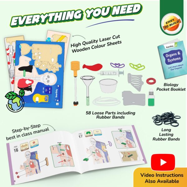 71vgkOlrzEL._SL1500_.jpg Smartivity Interactive Human Body Model for Kids 8-14 Years ...
