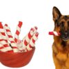 71wEDh2QvHL._SL1500_.jpg Woofy Dog Spiral munchy Rawhide chew Stick | 500gm Chicken F...